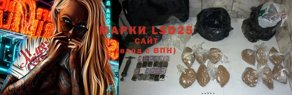сатива Баксан