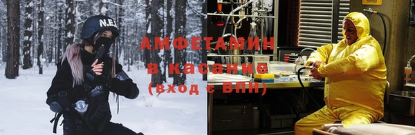 сатива Баксан