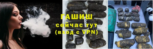 сатива Баксан