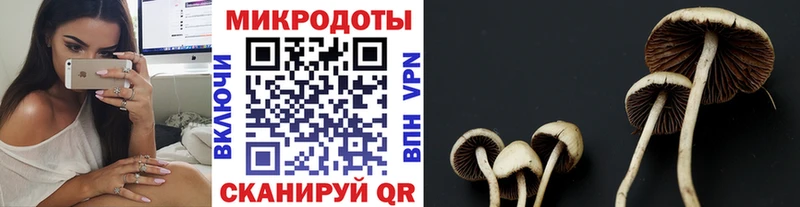 Галлюциногенные грибы мухоморы  Купить закладки  Дрезна 